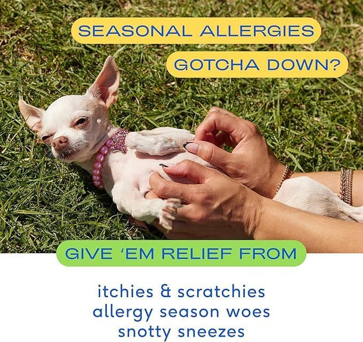 Dog Allergy Chews - Dog Allergy Relief with Probiotics and Colostrum for Itchy Skin Relief to Support Seasonal Allergy and Healthy Immune System - All Natural Anti-Histamine - 30 Chews