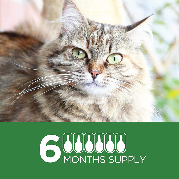 Actispot II Flea Treatment for Large Cats 9+ Lbs | 6 Doses | Powerful Prevention and Control