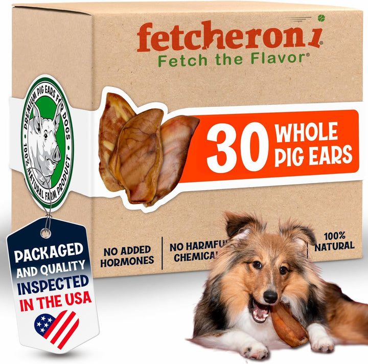 Whole Pig Ears for Dogs Large - 100 Pack Long Lasting Dog Chews - One Ingredient Delicious All Natural Flavor – Easy to Digest Dog Treat for Large Dogs - Great for Teeth and Gums