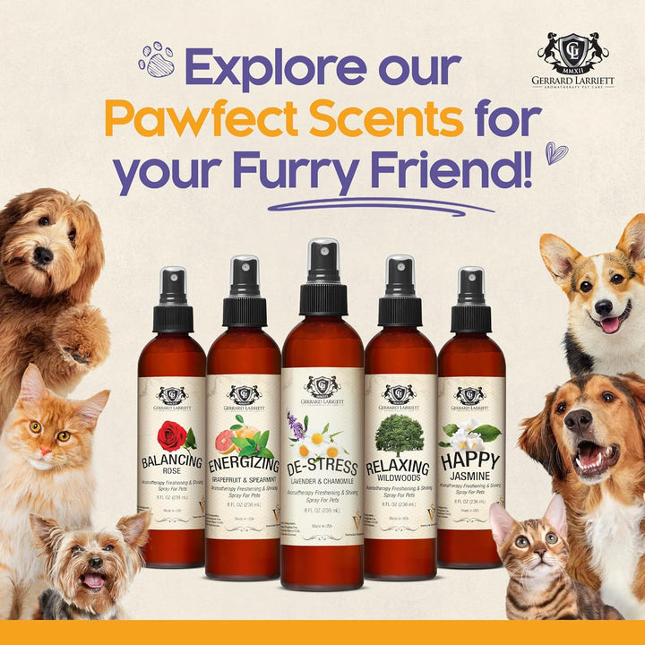 Dog Perfume Spray Long Lasting Chamomile & Lavender 8 Fl Oz, Dog Cologne Spray Long Lasting for Groomers, Calming Deodorizer Perfume for Dogs, Pet Puppy Deodorizing Fragrance by Gerrard Larriett