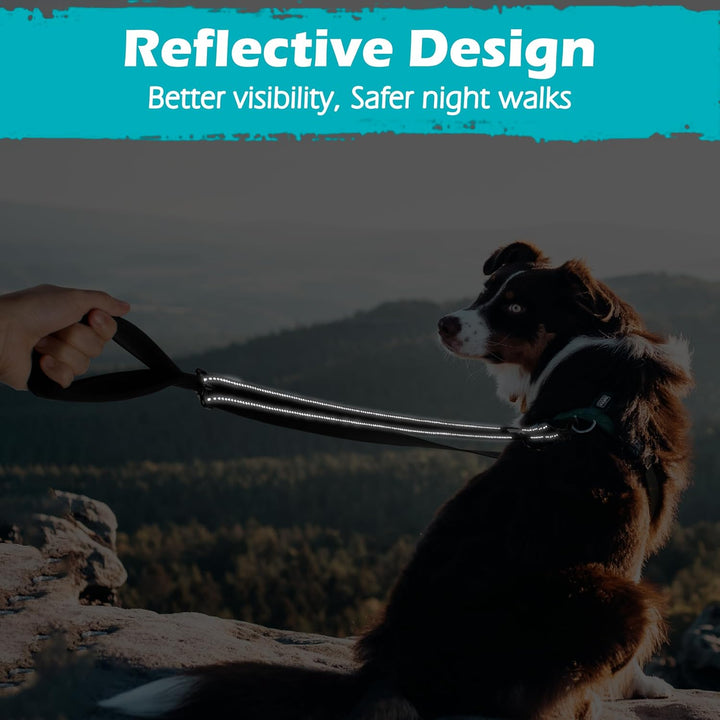 Two Point Control Dog Leash, Works with No Pull Harnesses, No Tangle Training Leashes, Soft Padded and Reflective Walking Lead, Converts to Single Lead for Medium Large Dogs (Black)