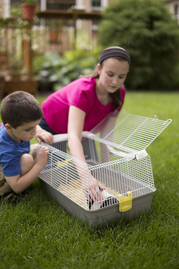 Universal Pet Carrier, Gray, Small (Model: 1306)