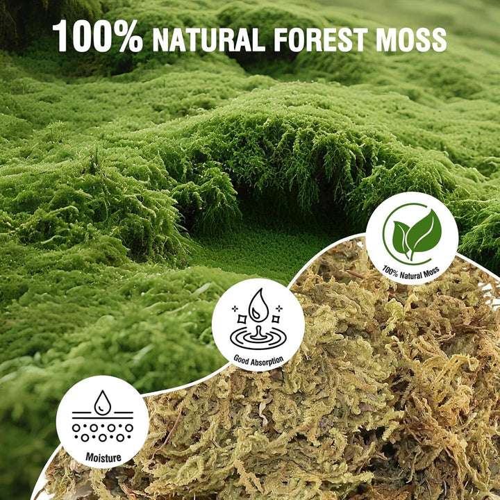 Natural Peat Moss Reptile Moss, Reptile Moss, Ideal Reptile Moss for Box Turtles, Hermit Crabs, Leopard Geckos, Snakes and Enclosures 7 OZ