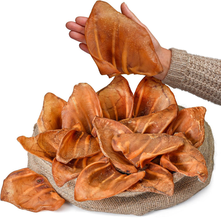 Pig Ears for Dogs (100 Count) | Single Ingredient Dog Chews | Healthy Pig Ears | Natural Treats | Rawhide Alternative | Healthy Treats for All Dogs