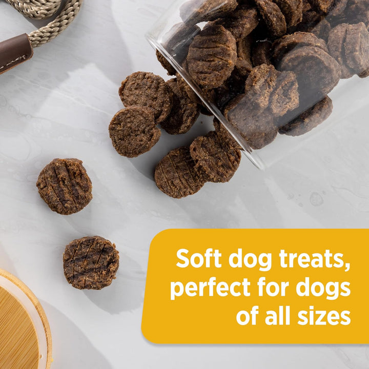 Rachael Ray Burger Bites Dog Treats, Beef Recipe with Bison, 12 Oz. Pouch