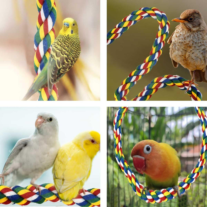 Bird Bungee Climbing Swing - Colorful Parakeet Rope Perch (23.6 Inches)