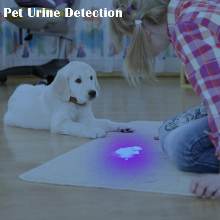 UV Flashlight Black Light–Small Portable Mini 12 LED Blacklight Flashlight for Hidden Stain Detection in Room, Resin Curing,Scorpion & Bed Bug Find,Pet Urine & Dry Stain Detection/Carpets/Rugs/Floors