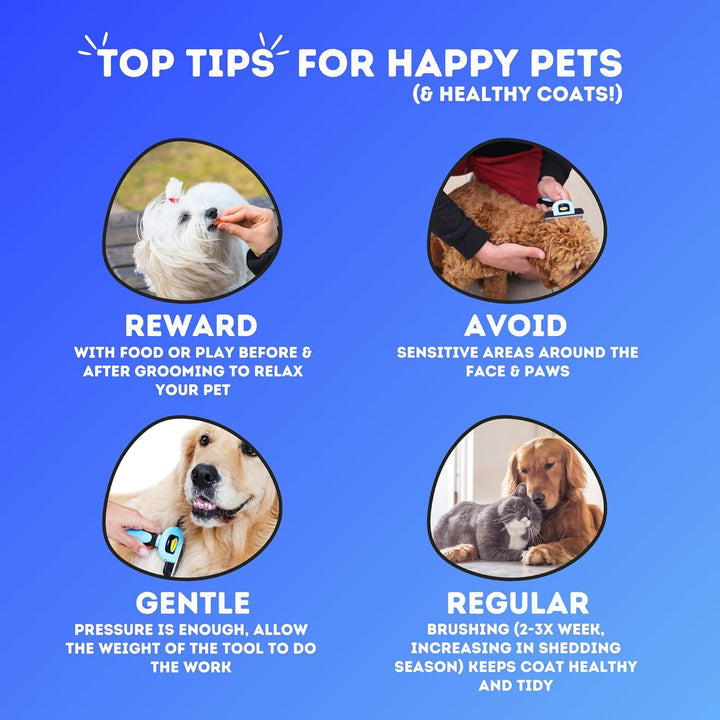 Deshedding Tool | Stainless Steel Grooming Brush for Shedding Fur Removal - Cats and Dogs