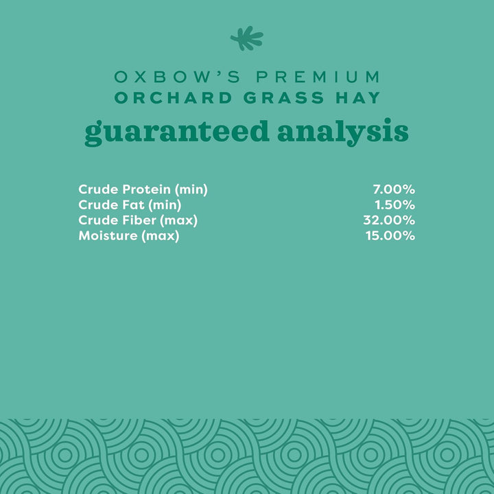 Animal Health Orchard Grass, Guinea Pig Hay, Rabbit Hay, Small Pet Bunny Supplies, All Natural Grass for Guinea Pig, Bunny, Chinchilla & Hamster,  Rabbit Supplies for Bunnies, 9 Lb. Box