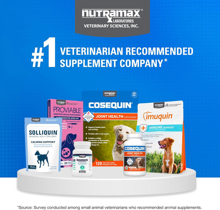 Nutramax Cosequin for Dogs Joint Health Supplement, Contains Glucosamine for Dogs, plus Chondroitin, MSM and HA, Supports Healthy Joints, Chewable Tablets, 75 Count