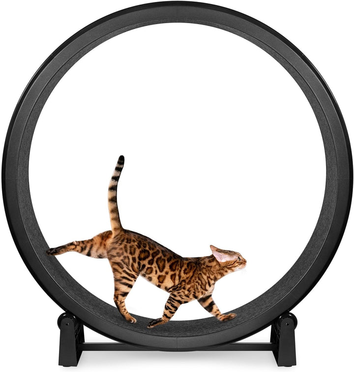 - Cat Exercise Wheel - Gen. 7 - Safe 48" Diameter - Made in the USA - Black Wheel with Gray Felt Traction Pads and Solid Black Inline Wheels