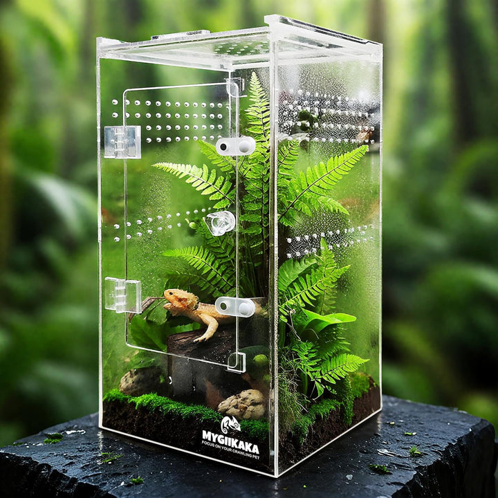 Jumping Spider Enclosure Accessories, Tarantula Spider Box, Bug Cage, Praying Mantis Habitat Enclosure, Snail Insect Terrarium, Caterpillar Habitat (3X3X6 Inch)
