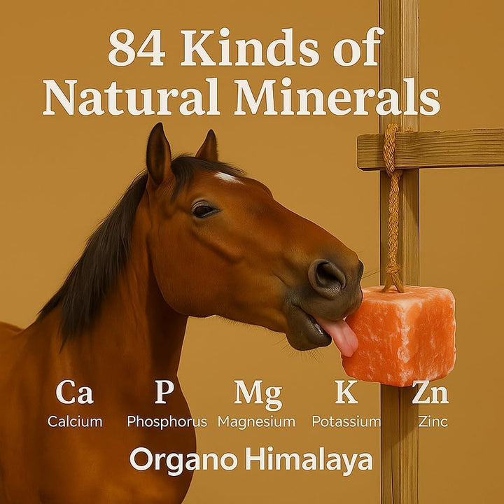 ® Himalayan Salt Lick on Rope 7.5-8 Lbs Each (Pack of 2) | for Horses,Deer,Goat,Cattle & Livestock | 100% Natural Mineral Rich Supplement | Sturdy Long-Lasting Block