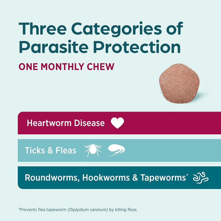 (Sarolaner, Moxidectin, and Pyrantel Chewable Tablets) Chewables for Dogs, 48 Mg/Tab, 44.1-88 Lbs, (Green), 6 Tablets