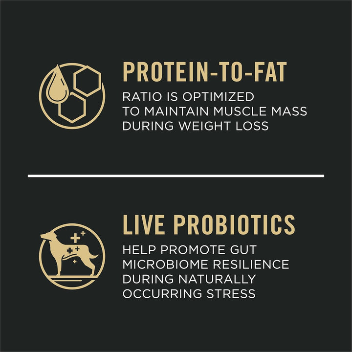 Small Breed Weight Management Dry Dog Food, Shredded Blend Chicken and Rice Formula - 6 Lb. Bag