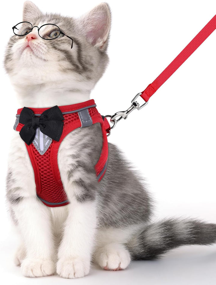 Cat Vest Harness and Leash Set for Walking Escape Proof, Adjustable Kitten Harness Breathable Mesh with Reflective Strips Harness for Kitty Puppy Bunny (Blue, XS)