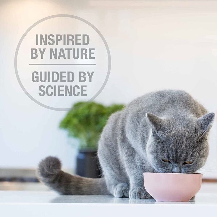 High Protein Dry Cat Food, Freeze-Dried Diet with 98% Meat, Organs & Seafood, No Peas, Grains, or Artificial Additives, Made in New Zealand, Chicken & Lamb, 11Oz