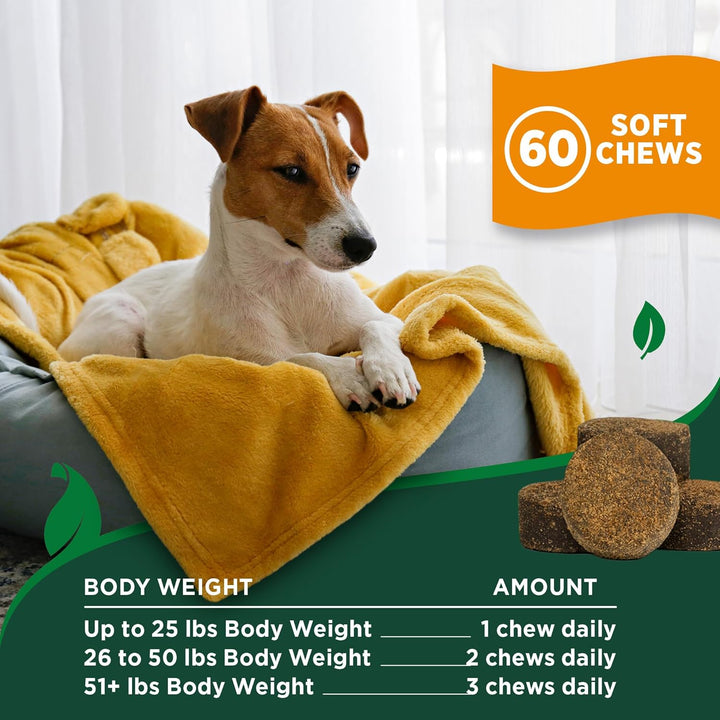 Natural Flea & Tick Soft Chews for Dogs – Natural Supplement for Dog Flea and Tick Prevention – Veterinarian-Formulated Itch Relief and Immune Support – Made in USA – 60 Chews