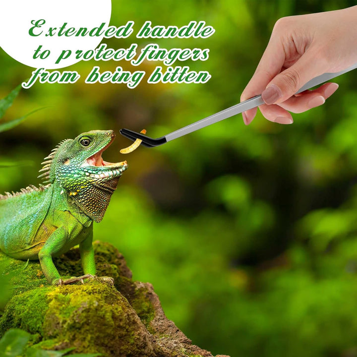 2 Pcs Extra Long Stainless Steel Reptile Feeding Tongs with Rubber Tip Bearded Dragon Aquarium Straight and Curved Long Tweezer Terrarium Feeder Tool for Tank(Silver, 10 Inch, 10.5 Inch)