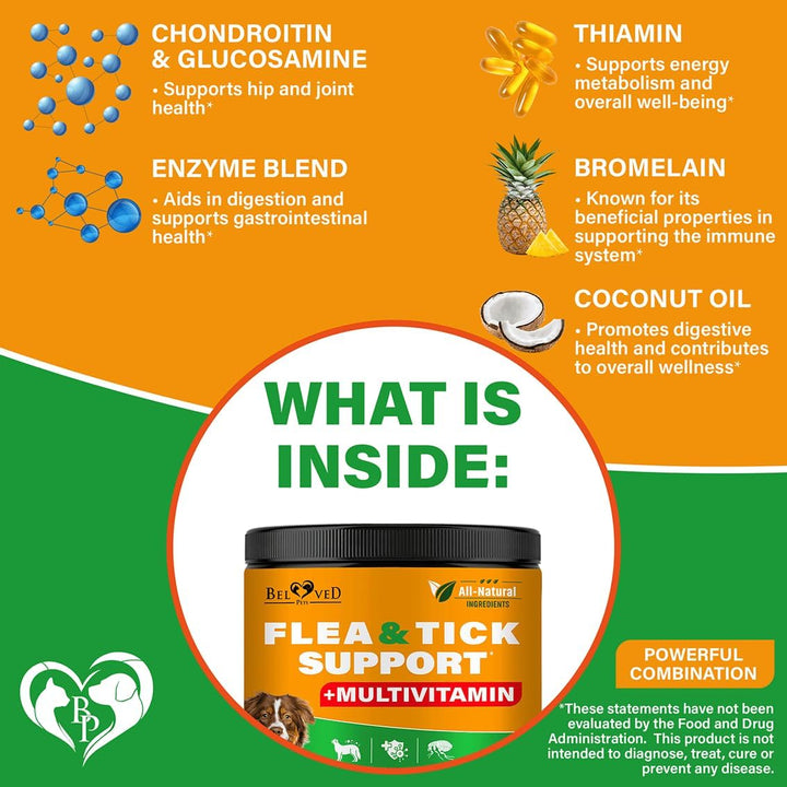 Flea and Tick Prevention Chewable Pills for Dogs - Revolution Oral Flea Treatment for Pets & Complex Multivitamin -Natural Pest Control & Defense Chews - Small Tablets Made in USA (10 Oz)