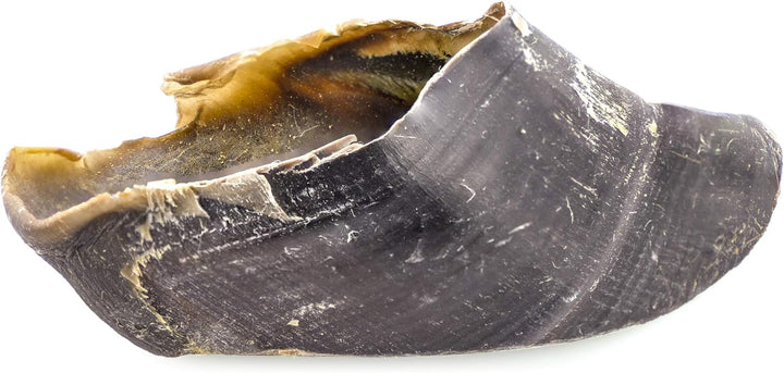 100% Natural Cow Hooves Dog Chews (25 Count Value Pack) - Free-Range & Grass-Fed Cattle - Long-Lasting Natural Alternative to Rawhide