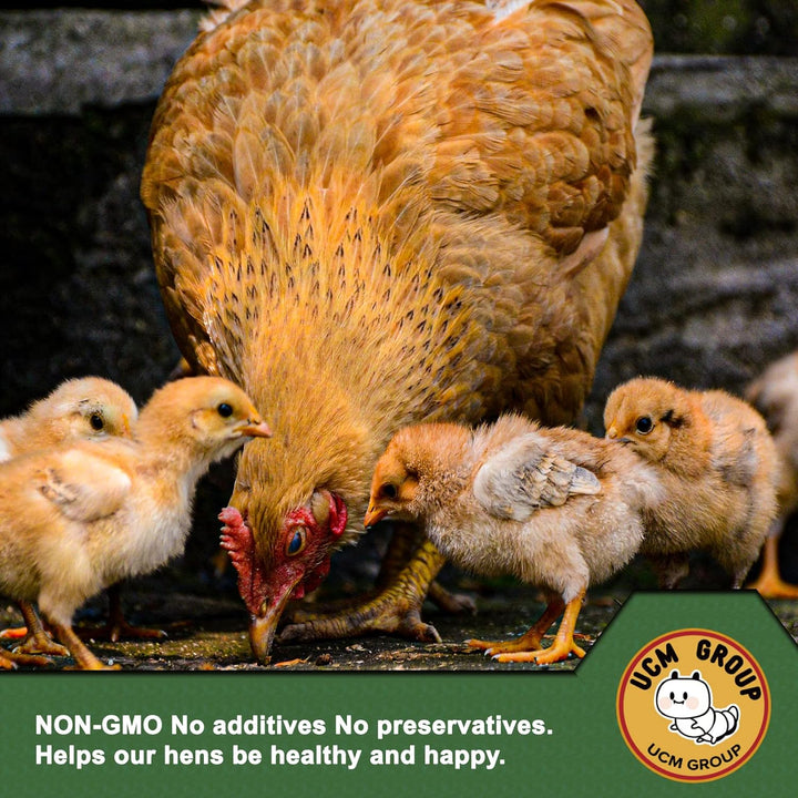 10LB Dried Mealworms for Wild Birds, Chickens, High Protein Organic Chicken Feed, 100% Non-Gmo for Chickens, Ducks, Turtles and Reptiles