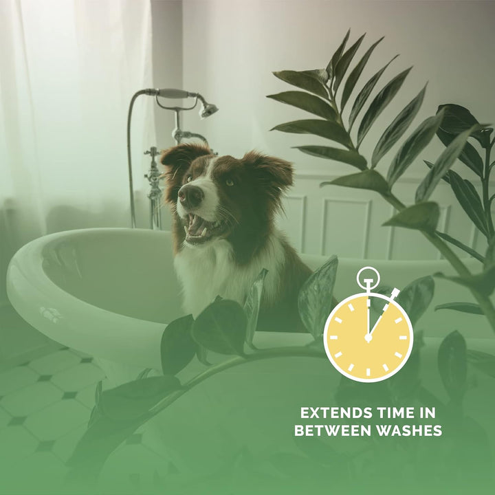 Salon Scents Pet Grooming Cologne - 8 Oz, Natural Professional Groomer Grade Perfume Deodorant for Dogs and Cats, Long Lasting, Deodorizing (Blueberry Pie)