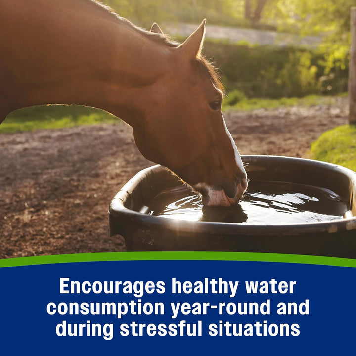 Apple Elite Electrolyte Powder Supplement for Horses, Replaces Vital Minerals, Encourages Hydration, No Added Sugar, 5 Pounds