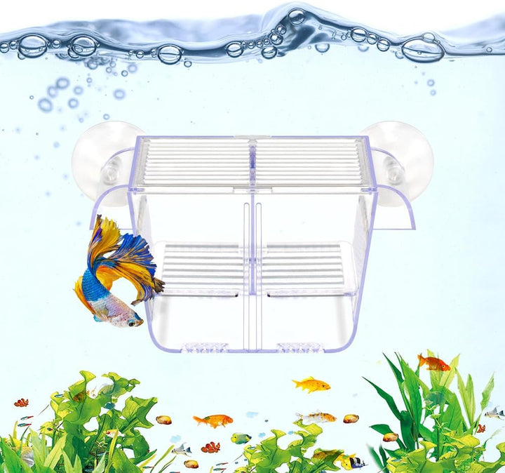 Fish Breeding Box Aquarium Holding Tank Transparent Fish Isolation Box Acclimation Hatchery Incubator Breeder for Betta Shrimp Clownfish Guppy