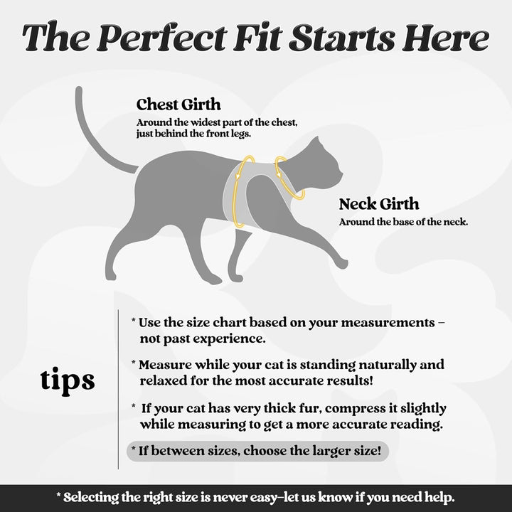 Cat Harness and Leash Set for Walking Escape Proof, Adjustable Soft Kittens Vest with Reflective Strip for Cats, Comfortable Outdoor Vest, Black, S