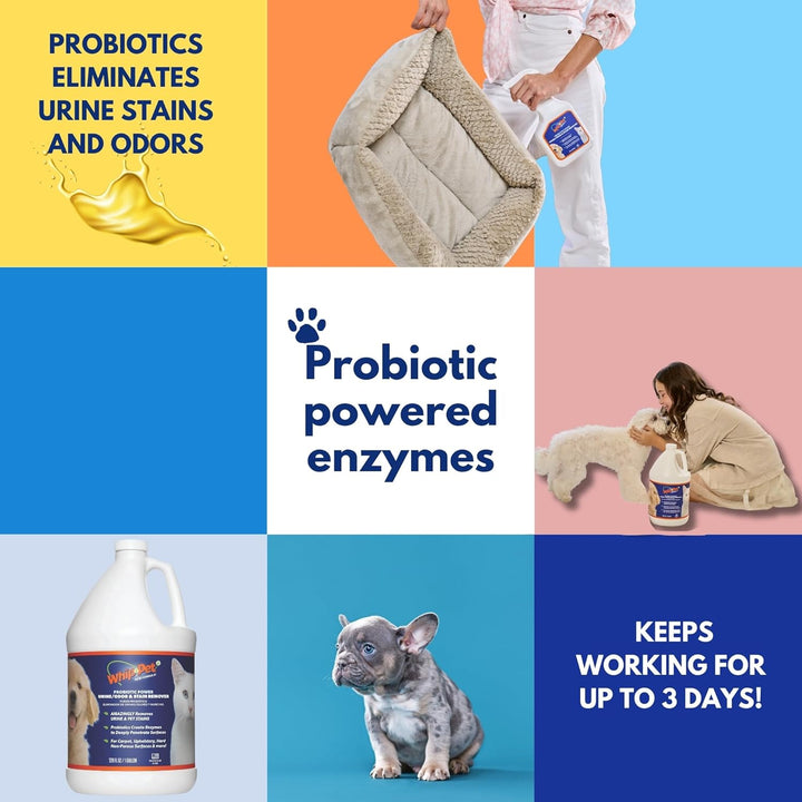 Whip-Pet Pet Odor Eliminator and Stain Remover - Enzymatic Cleaner for Dog Urine and Carpet Odor Eliminator - Pet Odor Remover - 128 Fl Oz / 3.78L