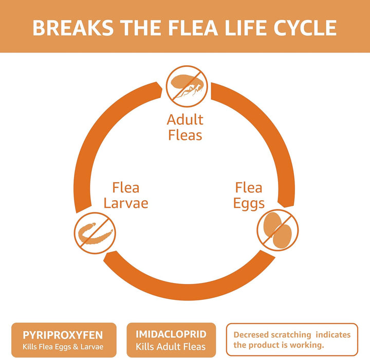 Topical Flea Treatment for Medium Cats (5-9 Pounds), 4 Count (Previously Solimo)