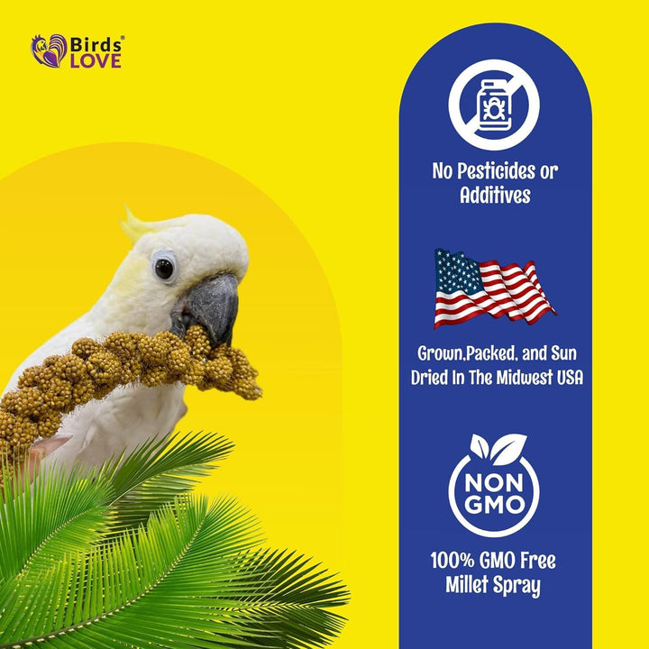 Millet Tips & Tails for Birds - Parakeets, Cockatiels, Lovebirds, Finches, Budgies, Canaries, Cockatoos - Natural & Healthy Millet for Birds - Parakeet Food & Treats for All Parrots, 1Lb