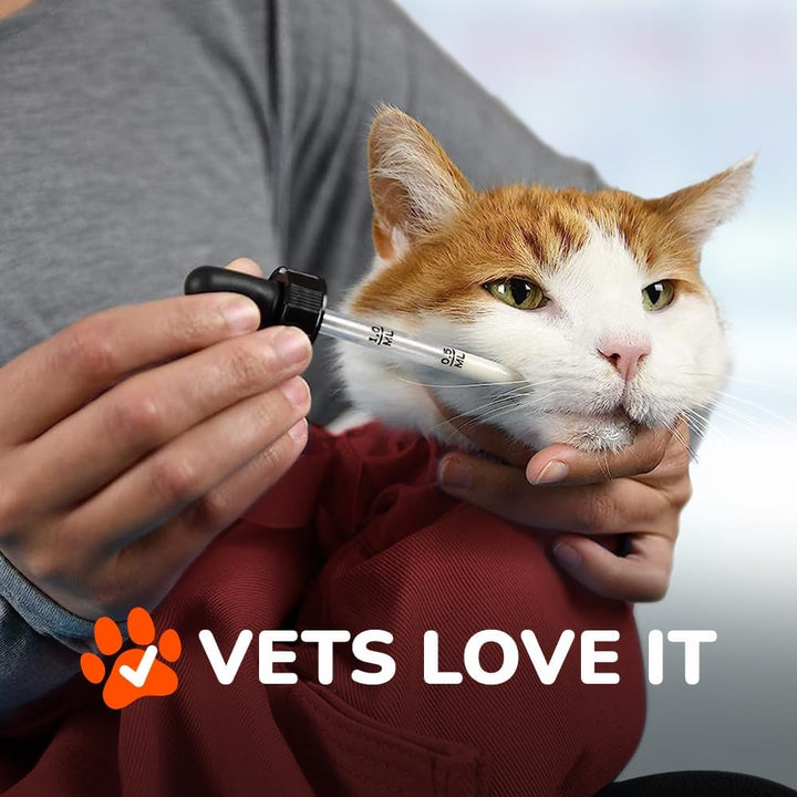 Cozy Comfort Carrier - Large Red Cat Carrier Soft and Pet Carrier for Nail Trimming, Vet Visits, Medication Administration, Dental Care, and Travel