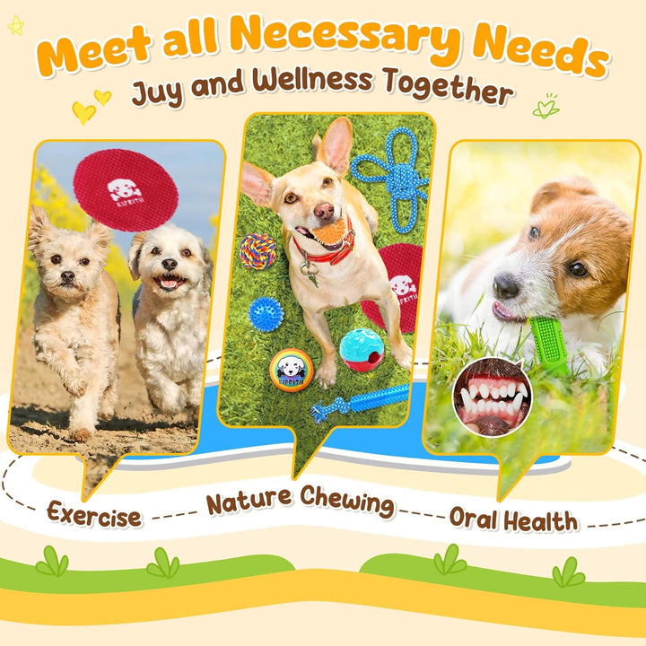 25 Pack Various Puppy Dog Toys for Teething, Entertainment & Interaction, Puppy Chew Toys Pack with Rope Toy, Treat Balls and Dog Squeaky Toys for Puppies & Small Dogs