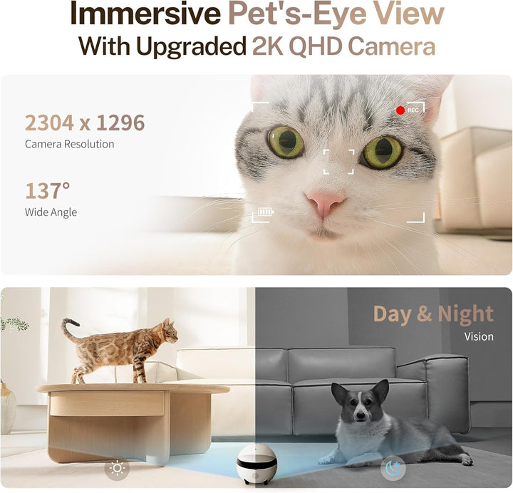 2K Camera Robot ROLA Mini: Movable Pet Camera Battery-Powered with Phone App, Indoor Cam W/One-Touch Call, 2-Way Talk, Night Vision, Motion Detection, Video Recording