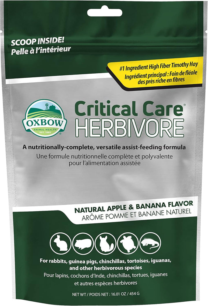 Critical Care Herbivore, Emergency Guinea Pig Food, Rabbit Food for Recovery, Natural Apple Banana Flavor, Veterinary Formula, Critical Care for Guinea Pig Emergency Kit, Made in USA, 141 Grams