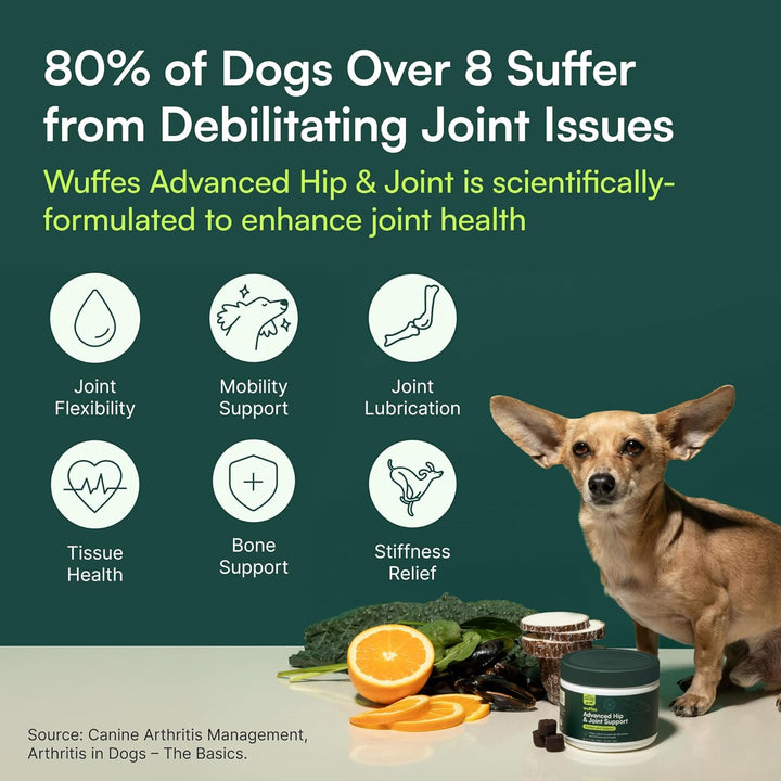 Advanced Dog Hip and Joint Supplement with Glucosamine, Chondroitin, Omega 3, MSM, and Green Lipped Mussel, 60 Pork Flavored Chews for Small and Medium Dog Breeds