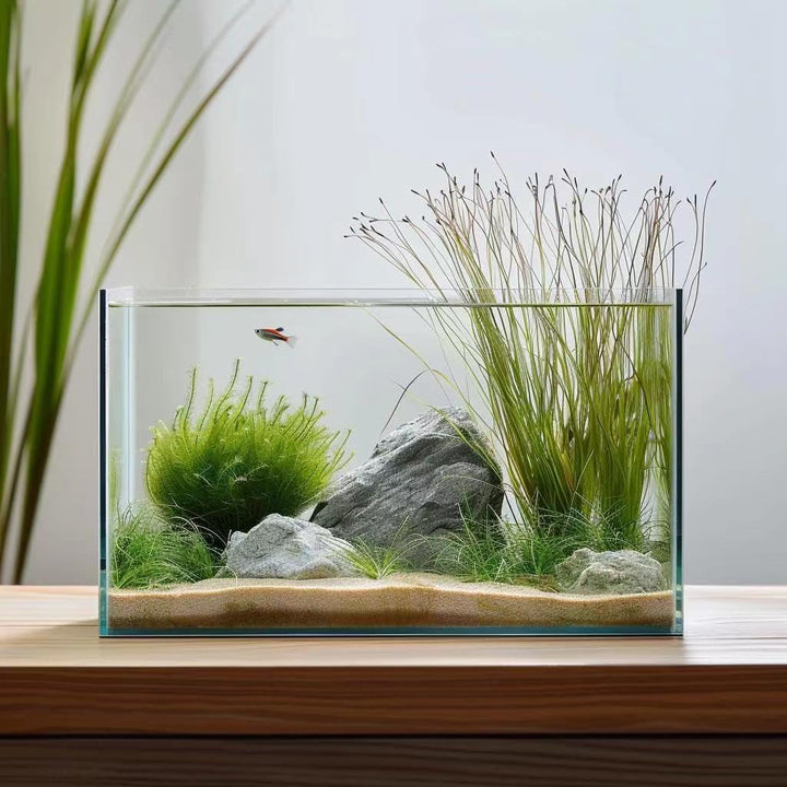 5 Gallon Glass Fish Tank, Easy to Maintain Small Aquarium for Betta/Goldfish/Snails/Shrimp and Aquatic Planting.