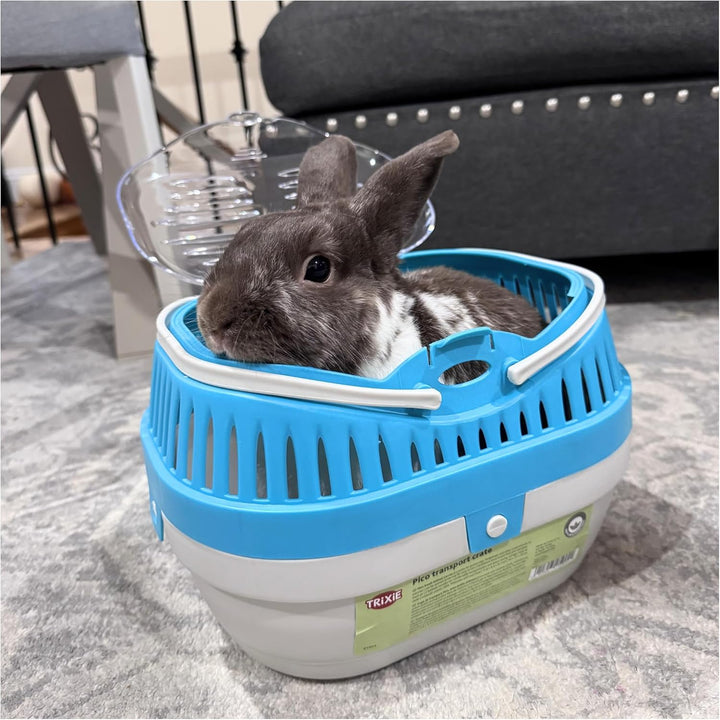 Pico Transport Crate, Small Pet Carrier, Portable Travel Carrier, for Small Pets, Hamsters, Guinea Pig, Lizards