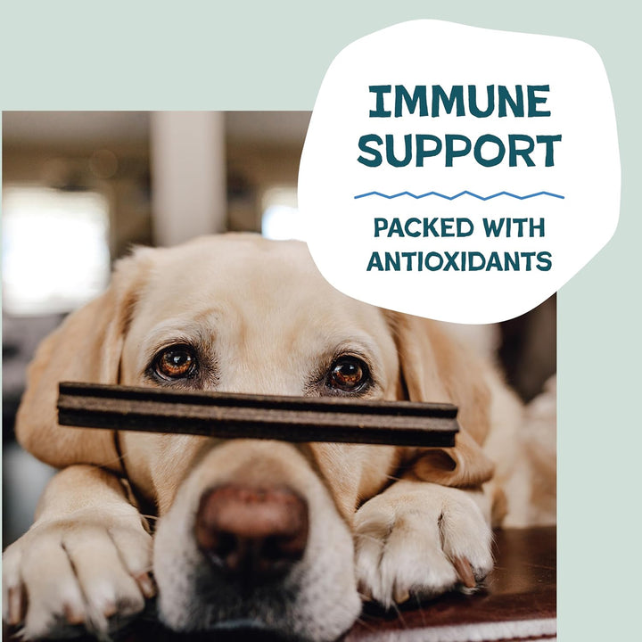 Dental Treats for Dogs, the Tooth Berry - Healthy Dental Sticks with Immune Support for Teeth Cleaning & Fresh Breath - Free from Grain, Corn & Soy