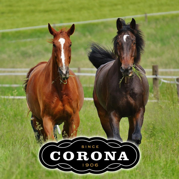 Corona Lanolin-Based Ointment for Horses, Soothes Skin Irritation, 7 Oz – Natural Relief for Equine Skin Care