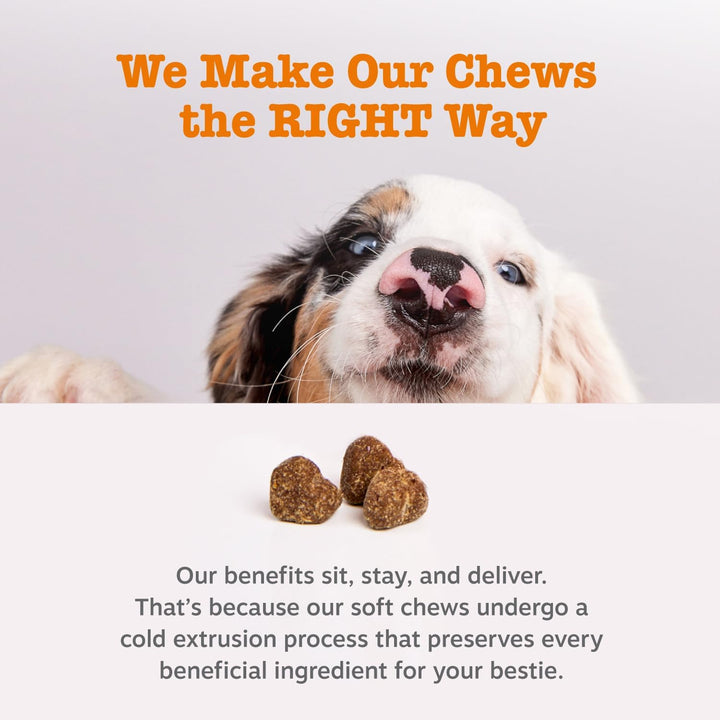Probiotics for Dogs - Digestive Enzymes for Gut Flora, Digestive Health, Diarrhea & Bowel Support - Clinically Studied DE111 - Dog Supplement Soft Chew for Pet Immune System - Pumpkin