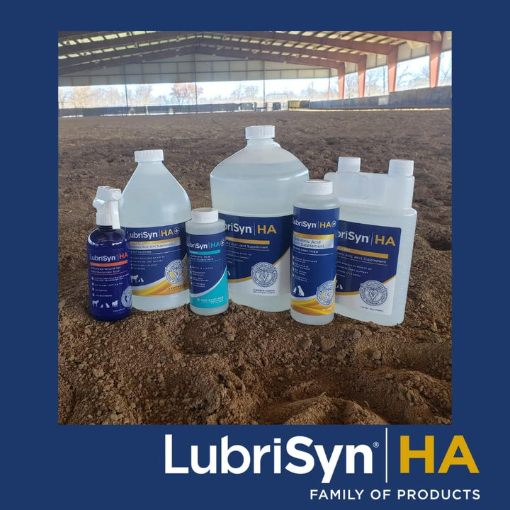 Hyaluronic Acid + MSM Joints Supplement, 16Oz: Natural Pure HA Liquid Dog and Cat Joint & Cartilage Support, Relief, and Lubrication for Pets Including Dogs, Cats and Horses, Vegan Formula