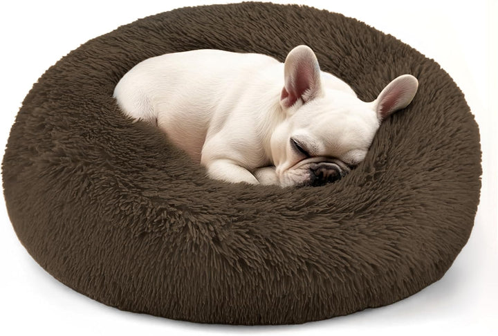Dog & Cat Bed for Indoor Cats, 20In Calming Donut Bed for Puppy and Kitten, Washable round Fluffy Pet Bed for Small Medium Dogs and Cats (Light Grey)
