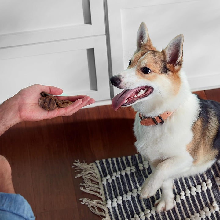 Rachael Ray Burger Bites Dog Treats, Beef Recipe with Bison, 12 Oz. Pouch