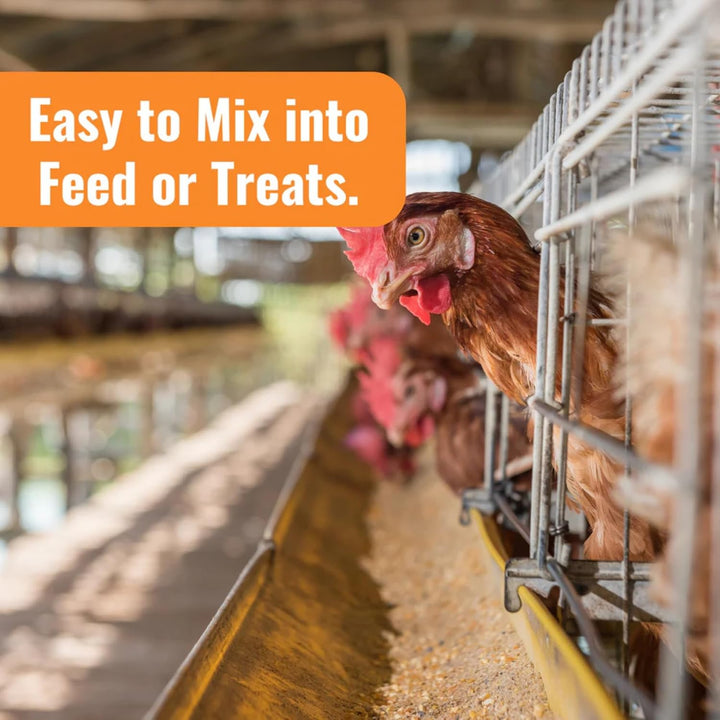 Wormstop Natural Chicken Dewormer Powder – All-Natural Herbal Blend for Daily Wellness - Chicken Wormer Is Safe for Eggs & All Ages - Garlic, Pumpkin Seed, Wormwood - USA (8 Oz)