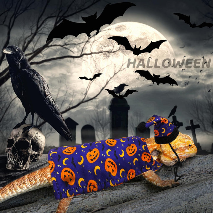 Halloween Bearded Dragon Costume, Cute Pumpkin Pattern Holiday Small Pet Clothes and Hat Set Outfit, Lizard Reptiles Small Animal Accessories