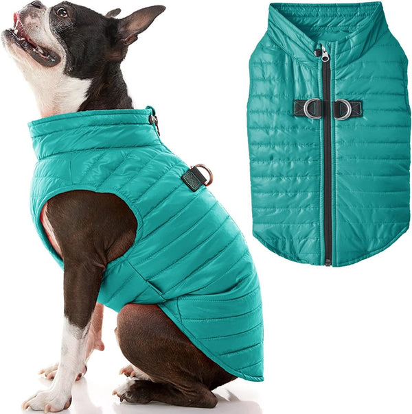 Boys Classic Puffer Dog Vest, Turquoise, Large Chest 20.75 US