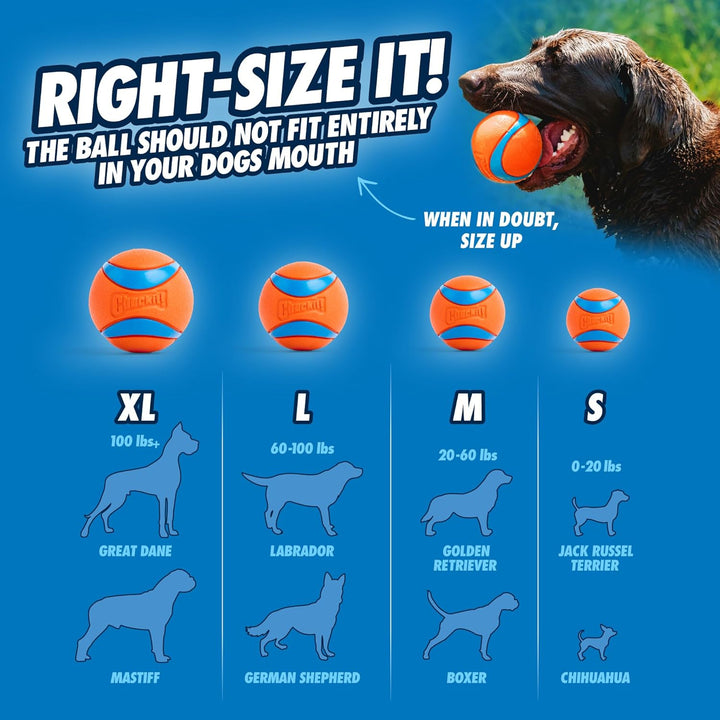 Dog Balls - Interactive Dog Toys, High-Bounce Fetch Ball, Ultra and Rugged Balls, Durable - Size Medium, 2.5-Inch Diameter, Set of 3